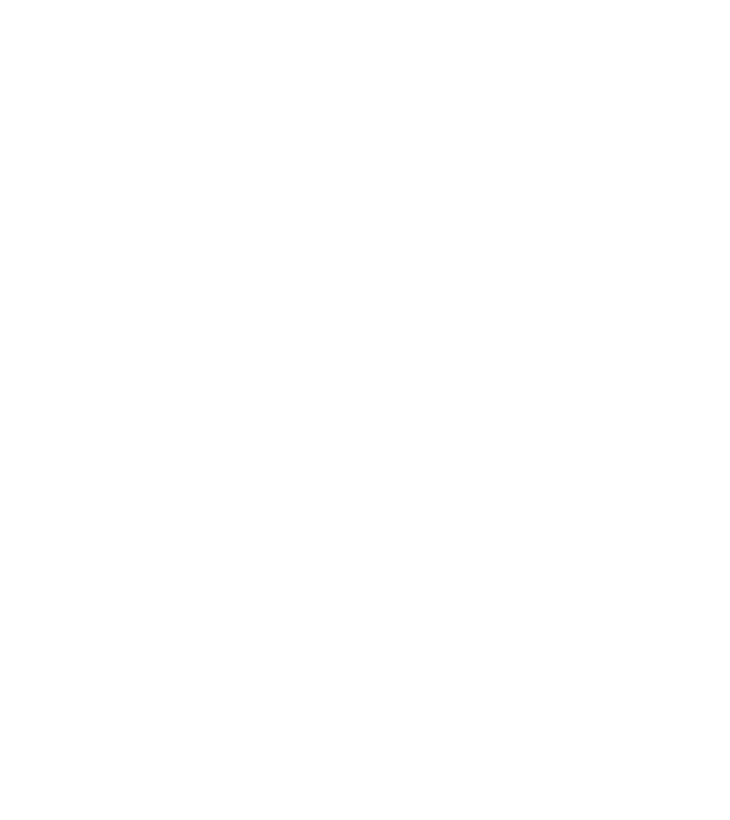 government/02.png