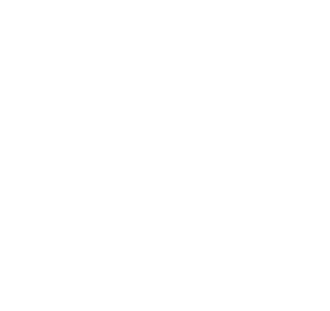 government/03.png