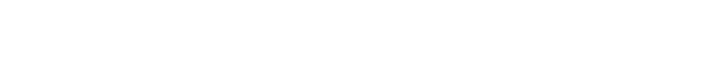 government/09.png